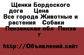 Щенки Бордоского дога.  › Цена ­ 30 000 - Все города Животные и растения » Собаки   . Пензенская обл.,Пенза г.